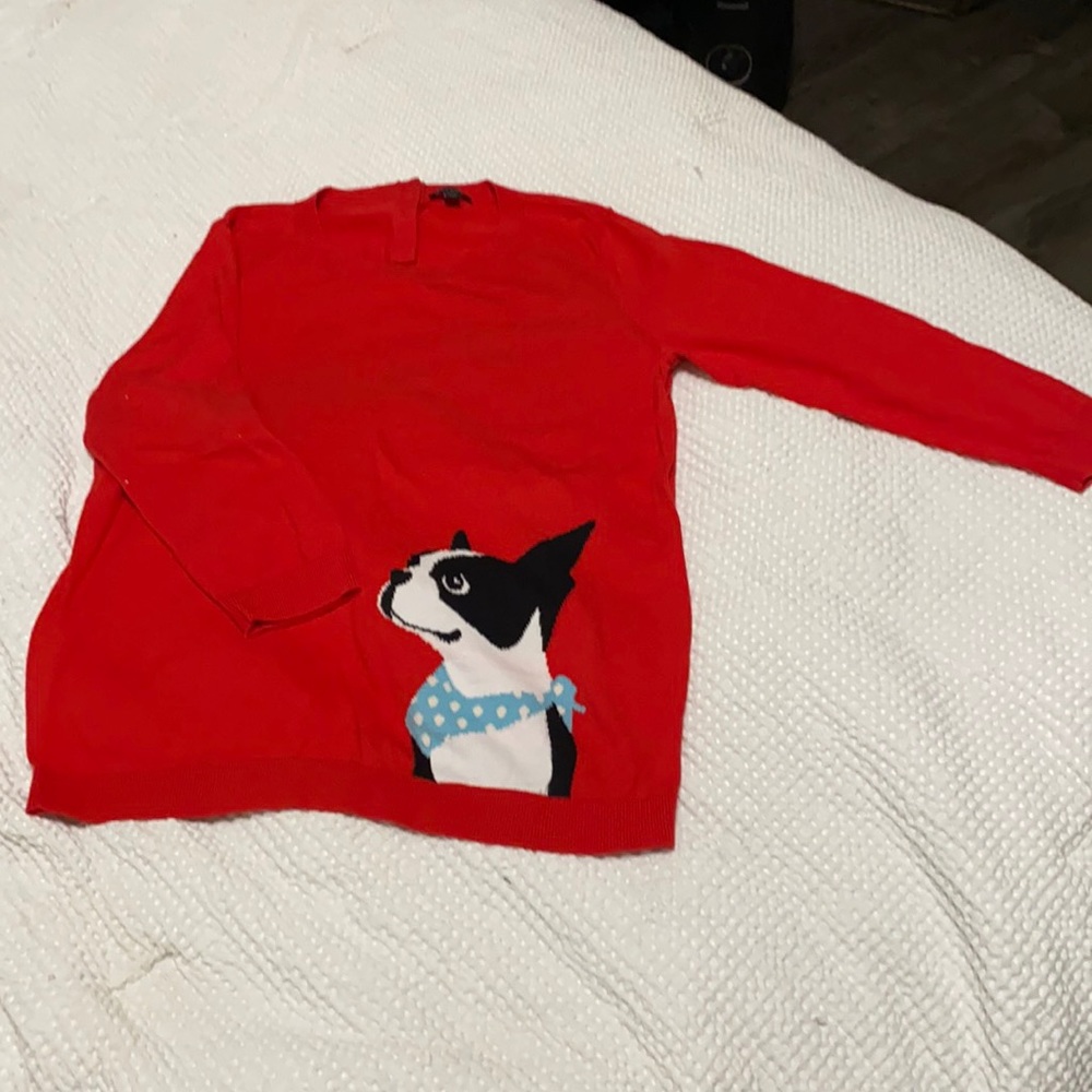 Boston Terrier Sweater